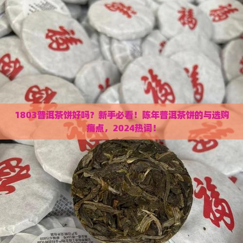 1803普洱茶饼好吗