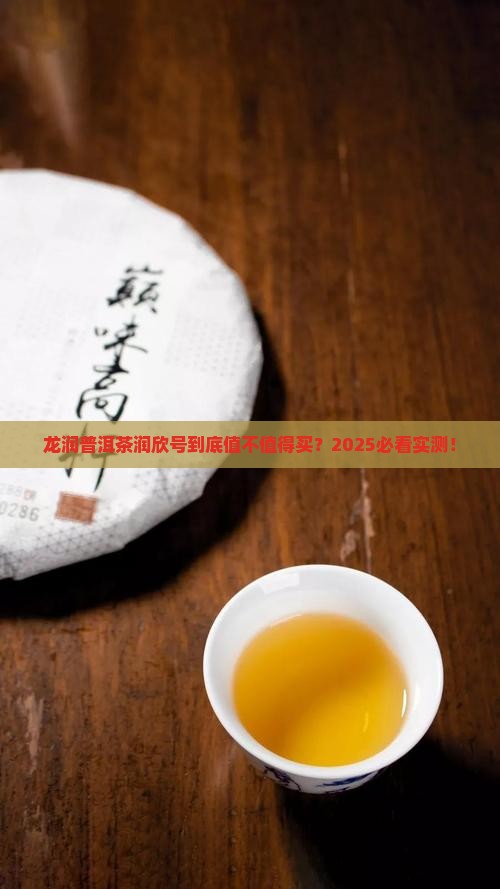 龙润普洱茶润欣号怎么样