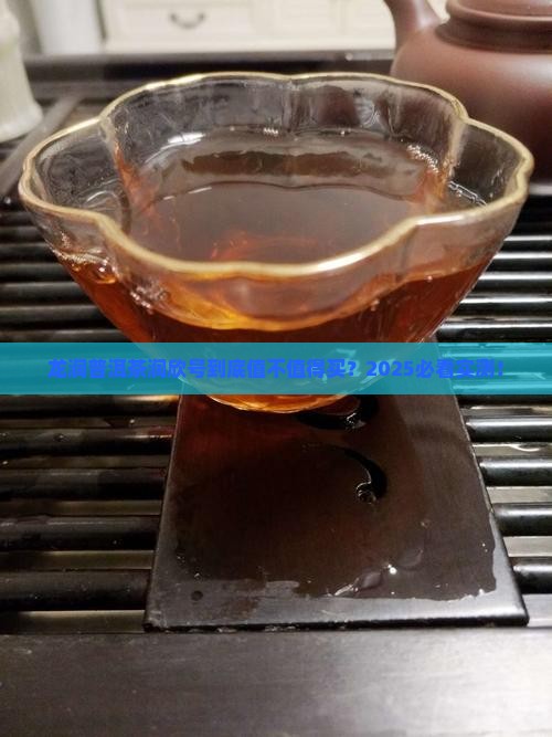 龙润普洱茶润欣号怎么样