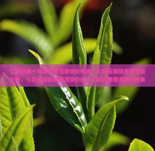 七彩云南十年陈料普洱茶