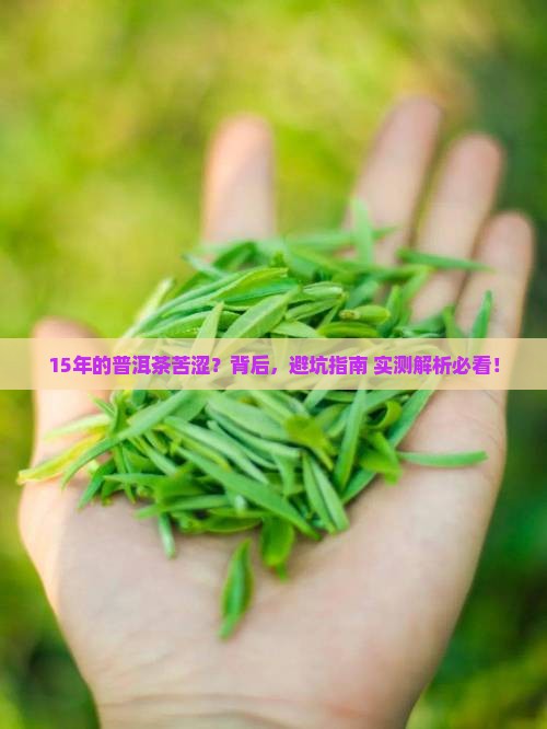 15年的普洱茶苦涩