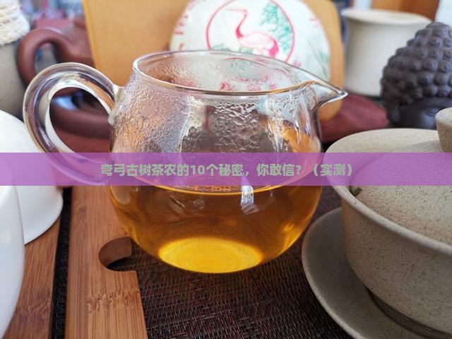 普洱茶弯弓古树茶茶农
