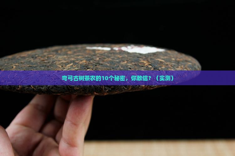 普洱茶弯弓古树茶茶农