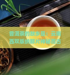普洱茶的故乡是