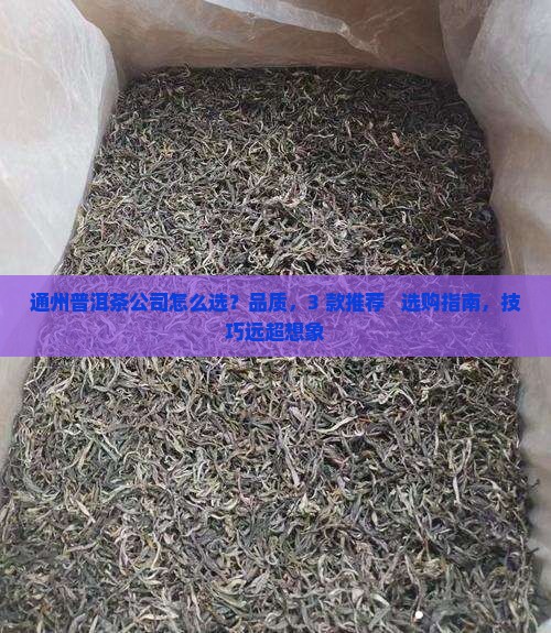 通州普洱茶公司