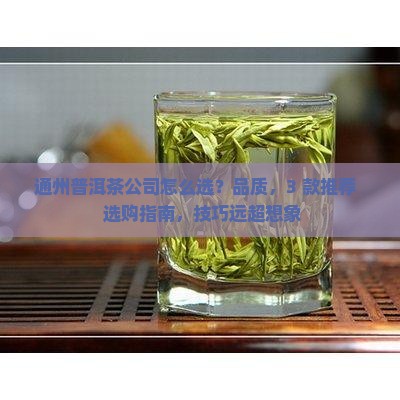 通州普洱茶公司