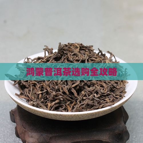 鸿蒙普洱茶如何选茶