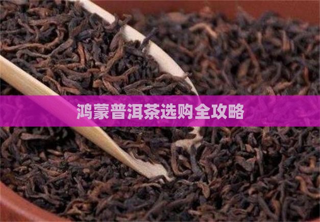 鸿蒙普洱茶如何选茶