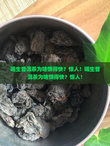 喝生普洱茶为啥饿得快