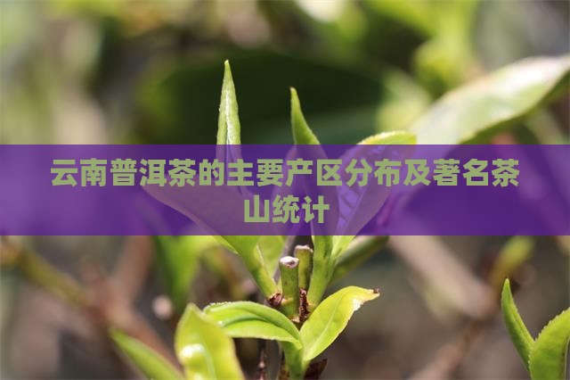 云南普洱茶的主要产区