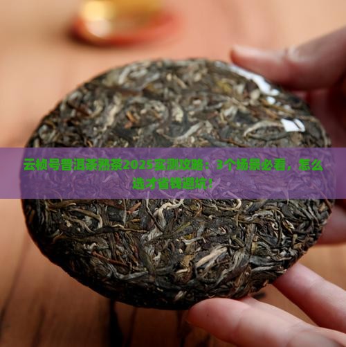 云桢号普洱茶熟茶