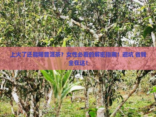 上火适合喝普洱茶吗女性