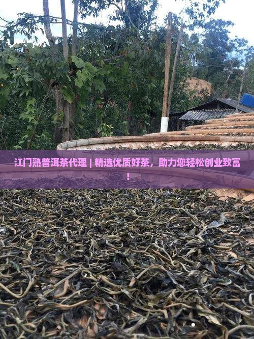 江门熟普洱茶品牌代理