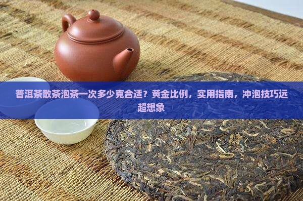 普洱茶散茶泡茶一次多少克合适