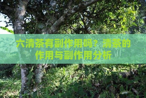 六清茶有副作用吗
