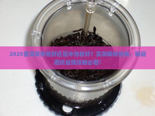 普洱茶蒸着好还是冲泡着好