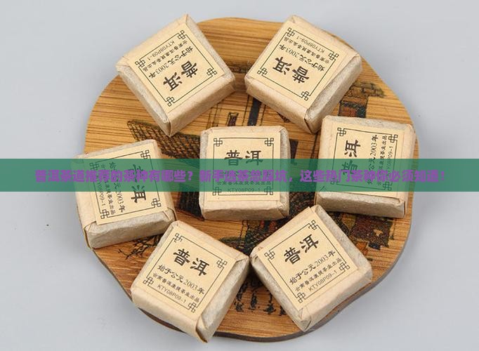 普洱茶道推荐的茶种有哪些