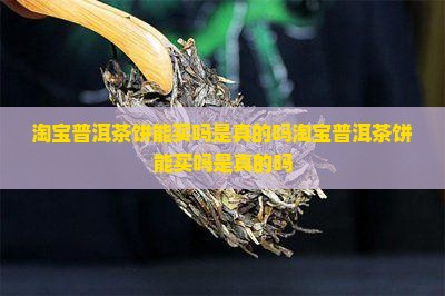 淘宝普洱茶饼能买吗是真的吗