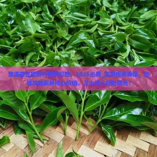 普洱茶正规品牌排行榜及价格