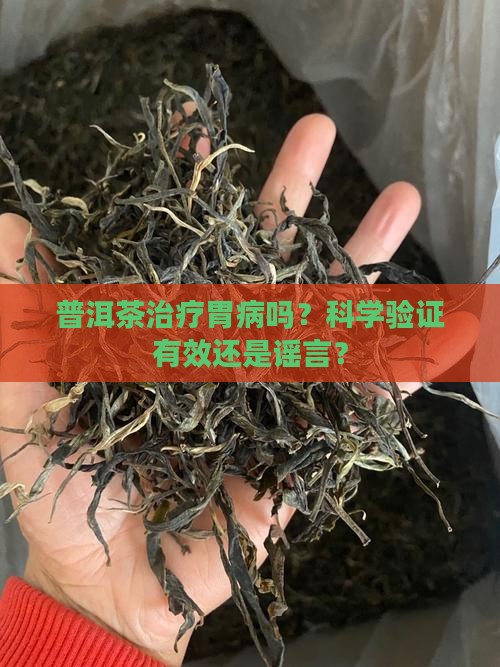 普洱茶治疗胃病吗