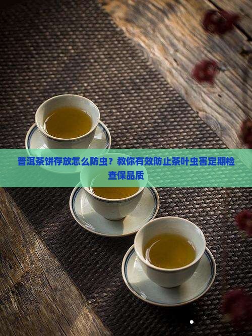 普洱茶饼存放怎么防虫？教你有效防止茶叶虫害定期检查保品质