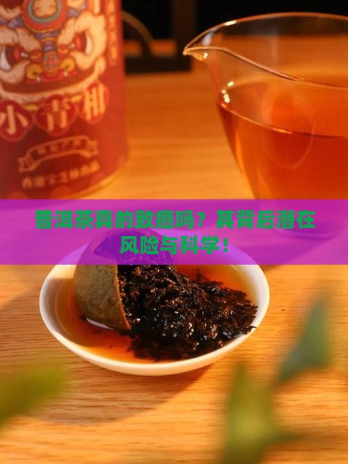 普洱茶真的致癌吗？其背后潜在风险与科学！
