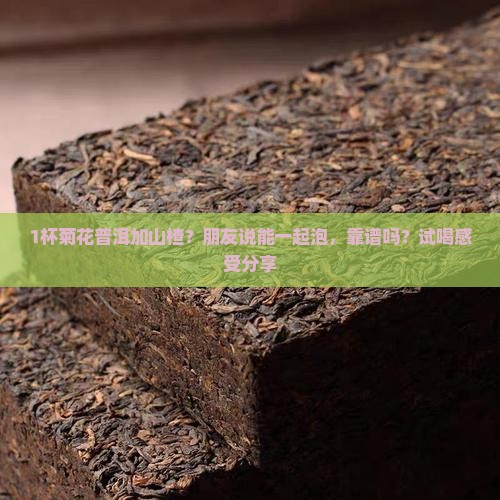 1杯菊花普洱加山楂？朋友说能一起泡，靠谱吗？试喝感受分享