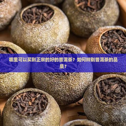 哪里可以买到正宗的好的普洱茶？如何辨别普洱茶的品质？