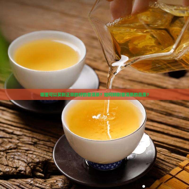 哪里可以买到正宗的好的普洱茶？如何辨别普洱茶的品质？