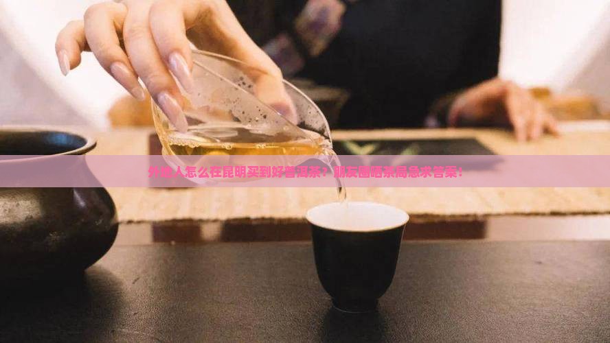 外地人怎么在昆明买到好普洱茶？朋友圈晒茶局急求答案！