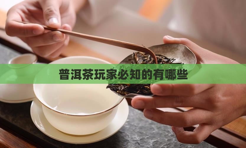 普洱茶玩家必知的有哪些