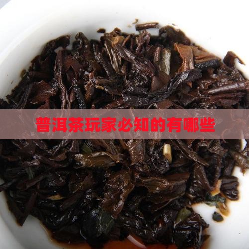 普洱茶玩家必知的有哪些