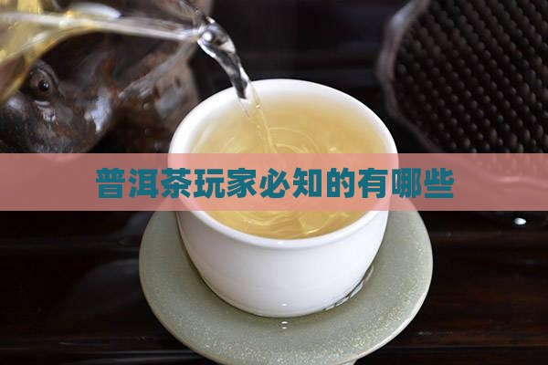 普洱茶玩家必知的有哪些