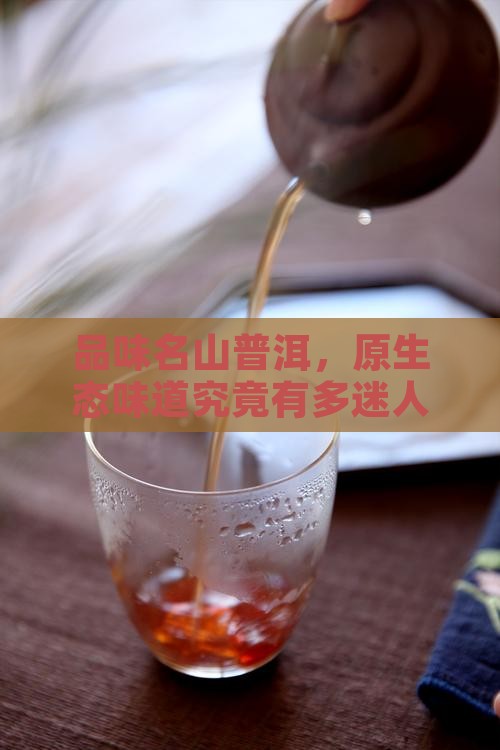 品味名山普洱，原生态味道究竟有多迷人？