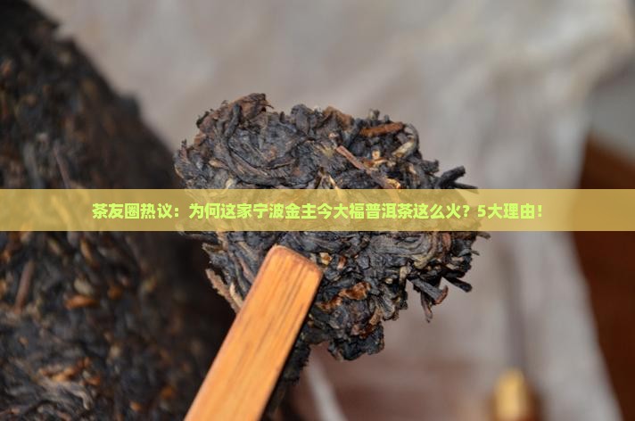 茶友圈热议：为何这家宁波金主今大福普洱茶这么火？5大理由！
