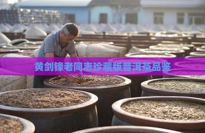 黄剑锋老同志珍藏版普洱茶品鉴