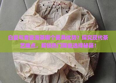 白瓷与青瓷泡茶哪个更具优势？探究现代茶艺痛点，解锁热门陶瓷选择秘籍！