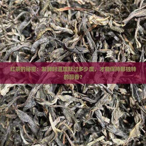 红茶的秘密：发酵时温度默过多少度，才能保持那独特的醇香？
