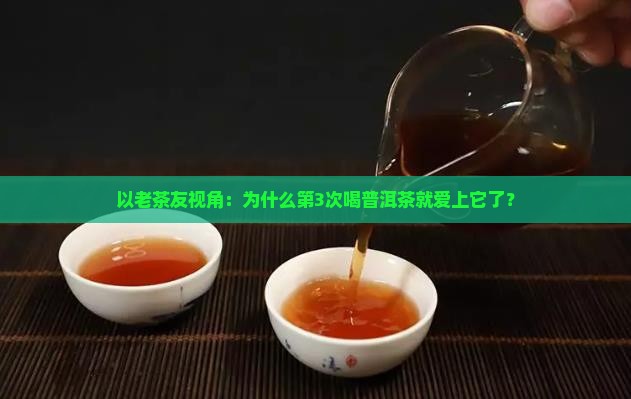 以老茶友视角：为什么第3次喝普洱茶就爱上它了？