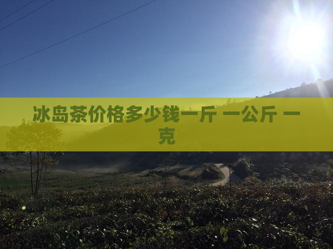 冰岛茶价格多少钱一斤 一公斤 一克