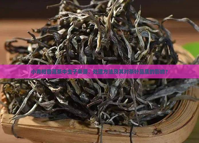 小青柑普洱茶中虫子来源、处理方法及其对茶叶品质的影响？