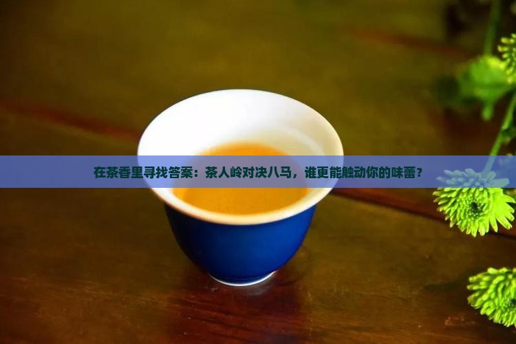 在茶香里寻找答案：茶人岭对决八马，谁更能触动你的味蕾？