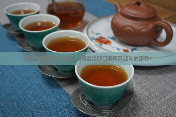 探索老熟普洱的秘密：如何泡出那口醇厚又迷人的茶香？