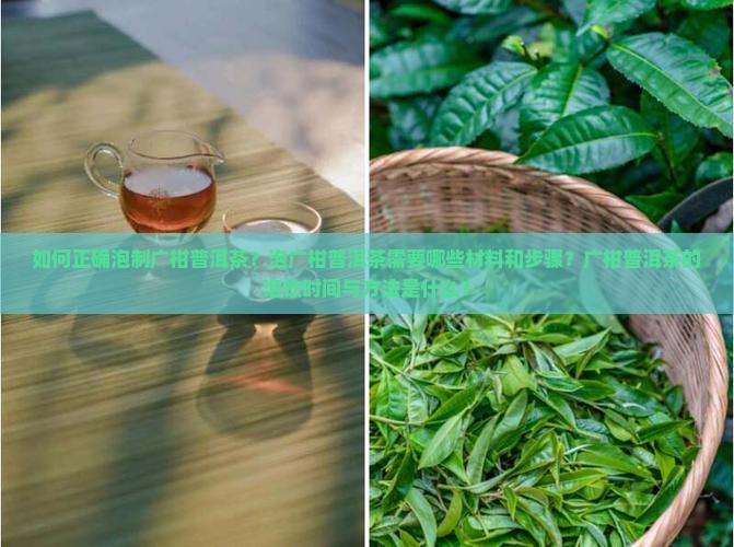 如何正确泡制广柑普洱茶？泡广柑普洱茶需要哪些材料和步骤？广柑普洱茶的泡饮时间与方法是什么？