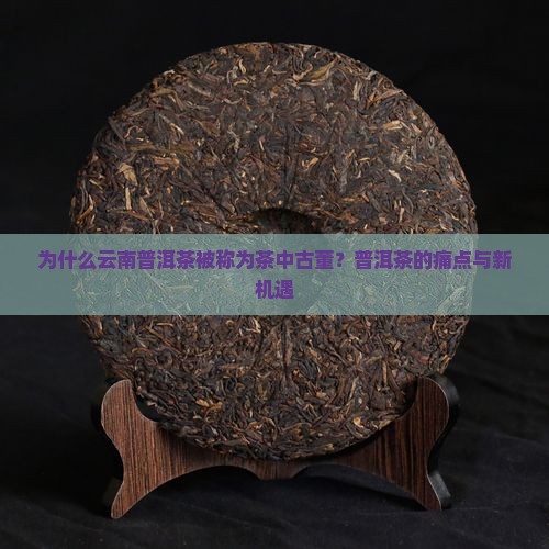 为什么云南普洱茶被称为茶中古董？普洱茶的痛点与新机遇