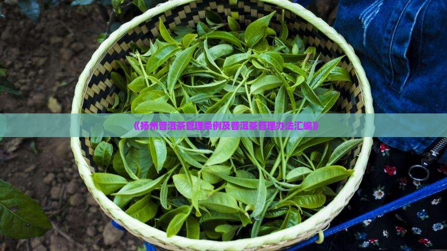 《扬州普洱茶管理条例及普洱茶管理办法汇编》