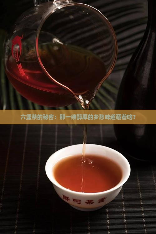 六堡茶的秘密：那一缕醇厚的乡愁味道藏着啥？