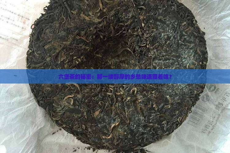 六堡茶的秘密：那一缕醇厚的乡愁味道藏着啥？