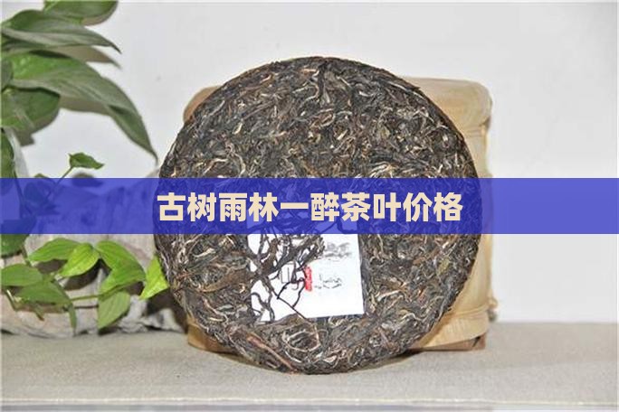 古树雨林一醉茶叶价格