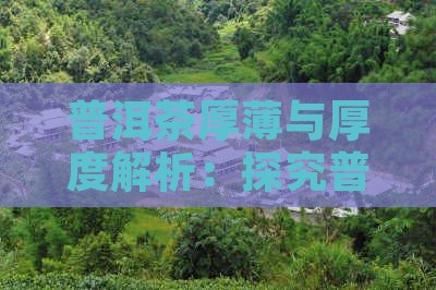 普洱茶厚薄与厚度解析：探究普洱茶底的奥秘